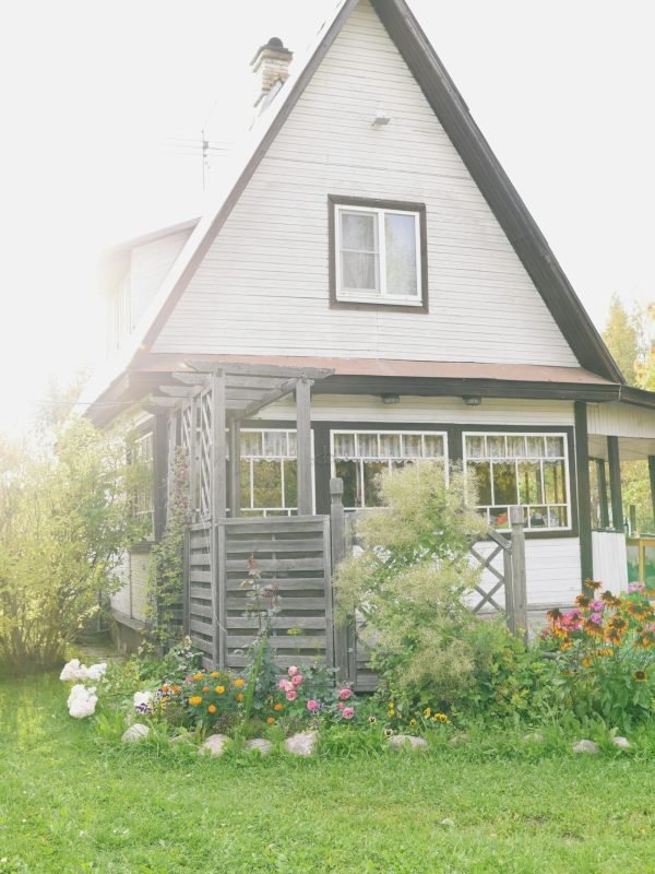 pexels-kseniachernaya-4450329 pexels-kseniachernaya-4450329